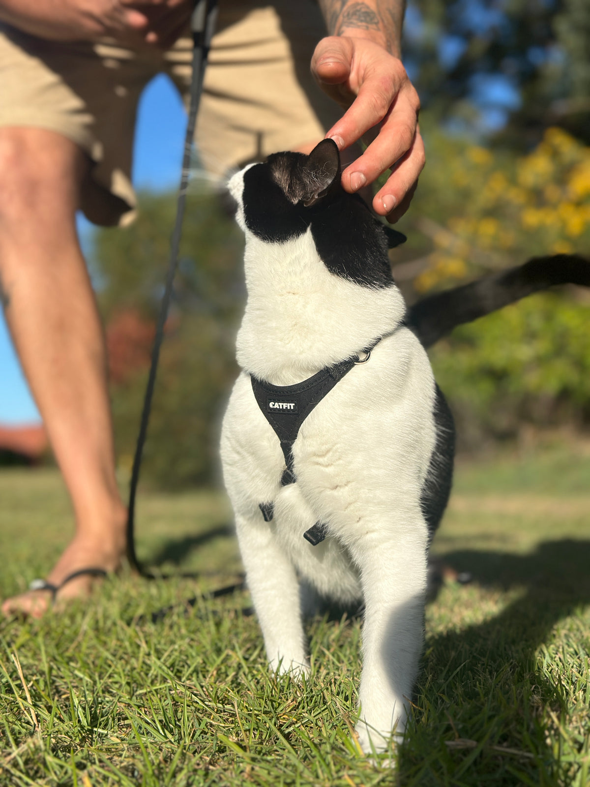 The Happy Outside Challenge Kit